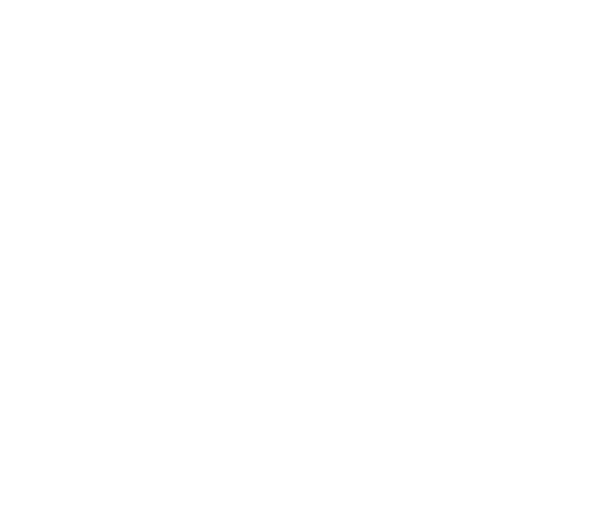 Logo Palace Hotel - by ZAffiro Eventos - White