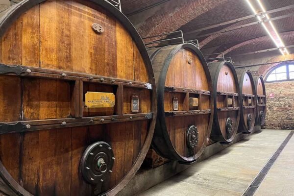 Wine Tour Barolo - Credits Viaje com Zélia