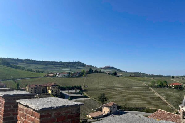 Wine Tour Barolo - Credits Viaje com Zélia