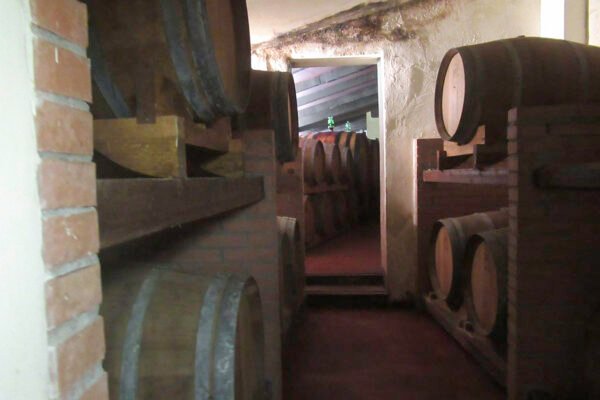 Wine Tour Brunello - Credits Viaje com Zélia